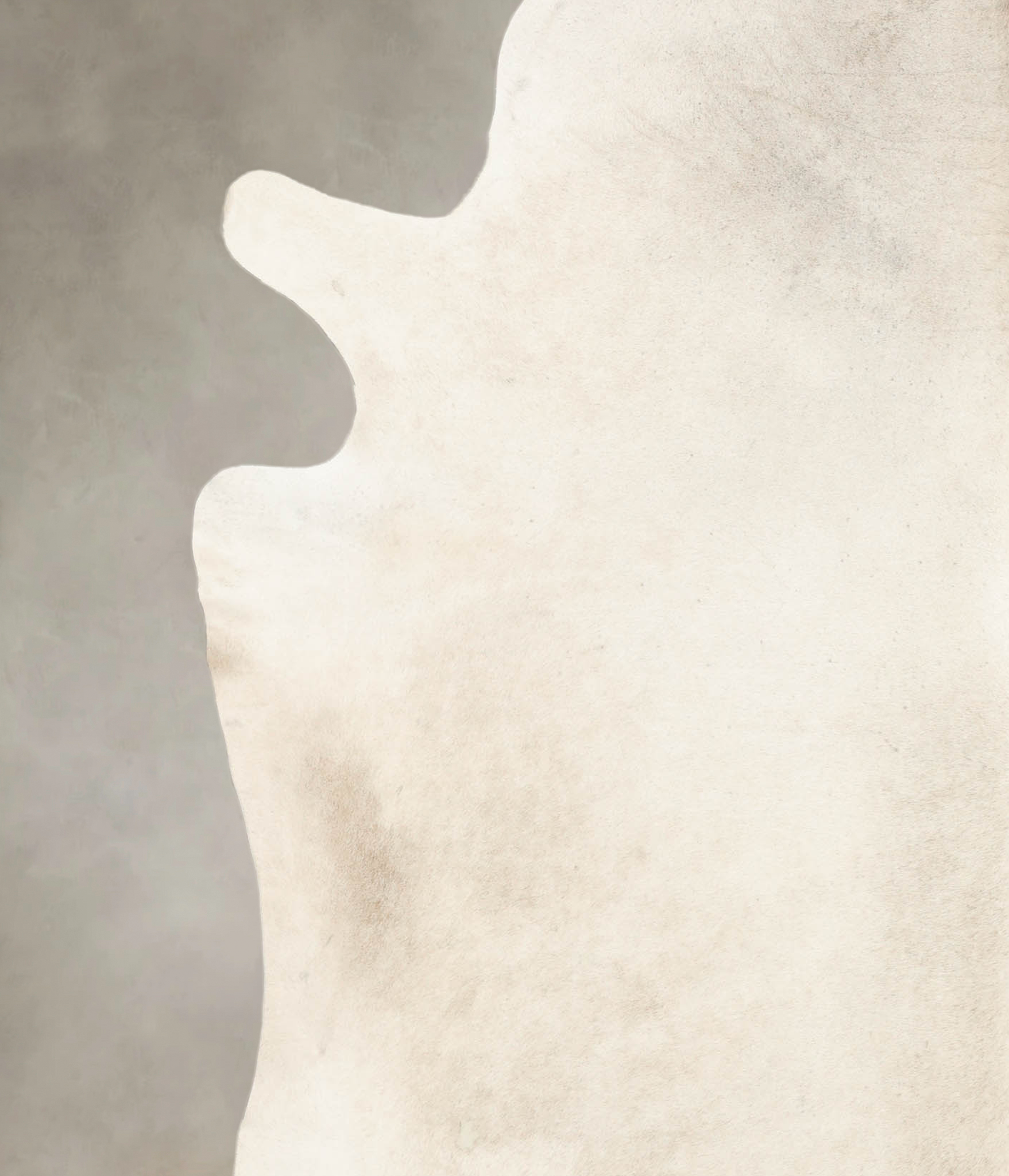 Palomino Cowhide Rug #B4269