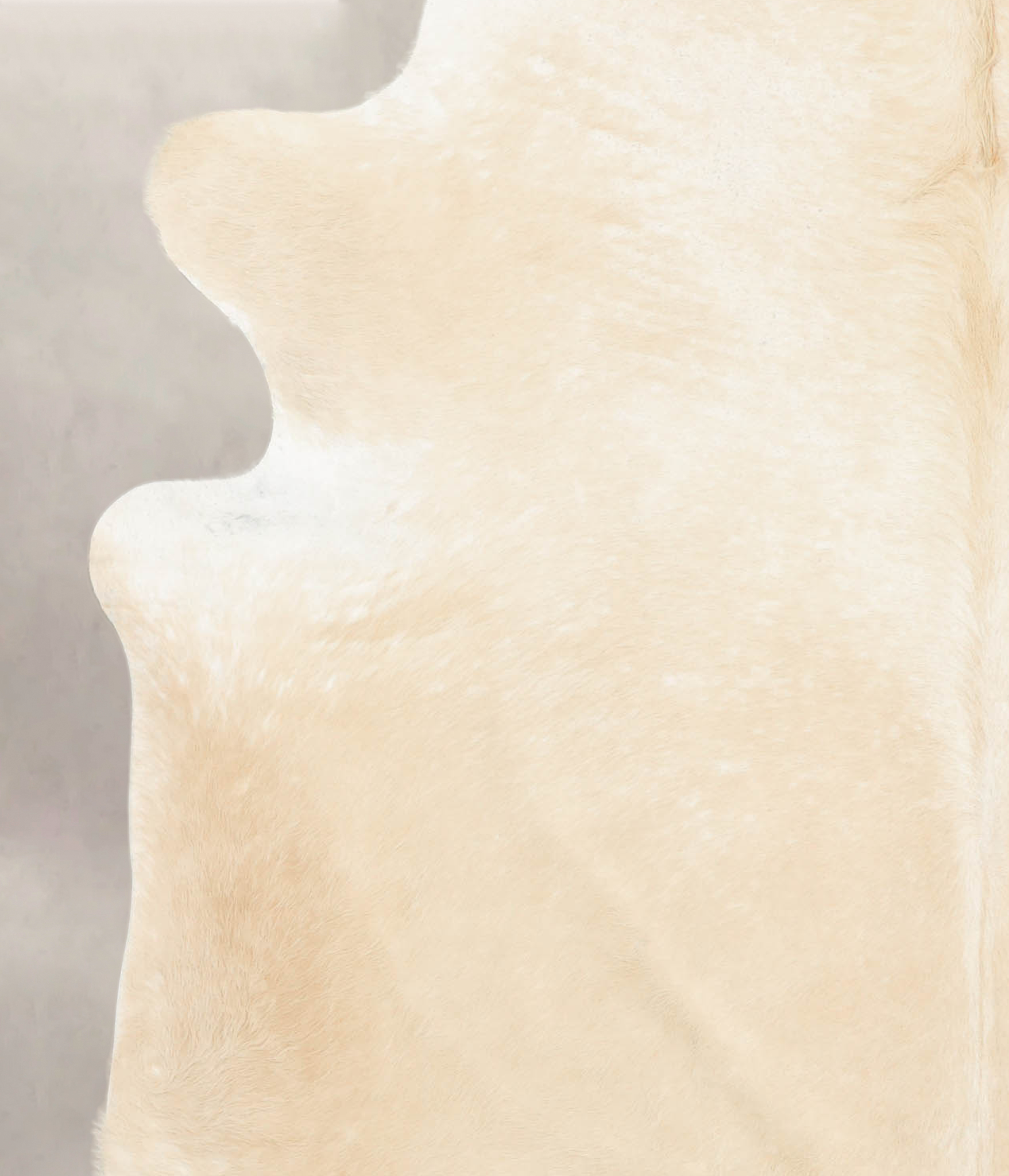 Palomino Cowhide Rug #B4305