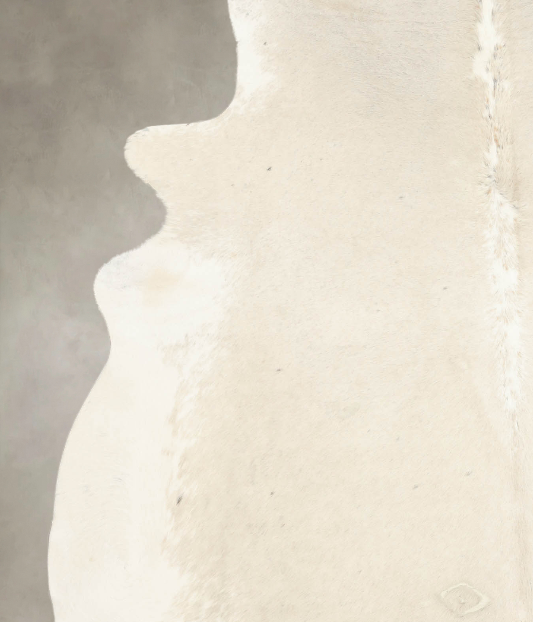 Palomino Cowhide Rug #B4307