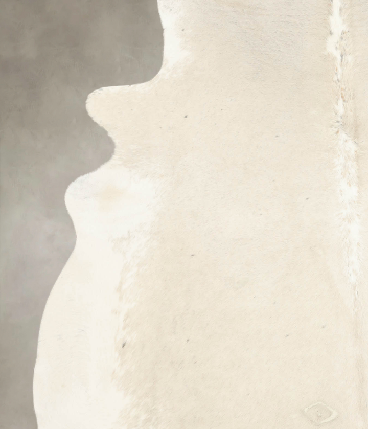 Palomino XX-Large Brazilian Cowhide Rug 7'7"H x 6'11"W #B4307 by Hudson Hides