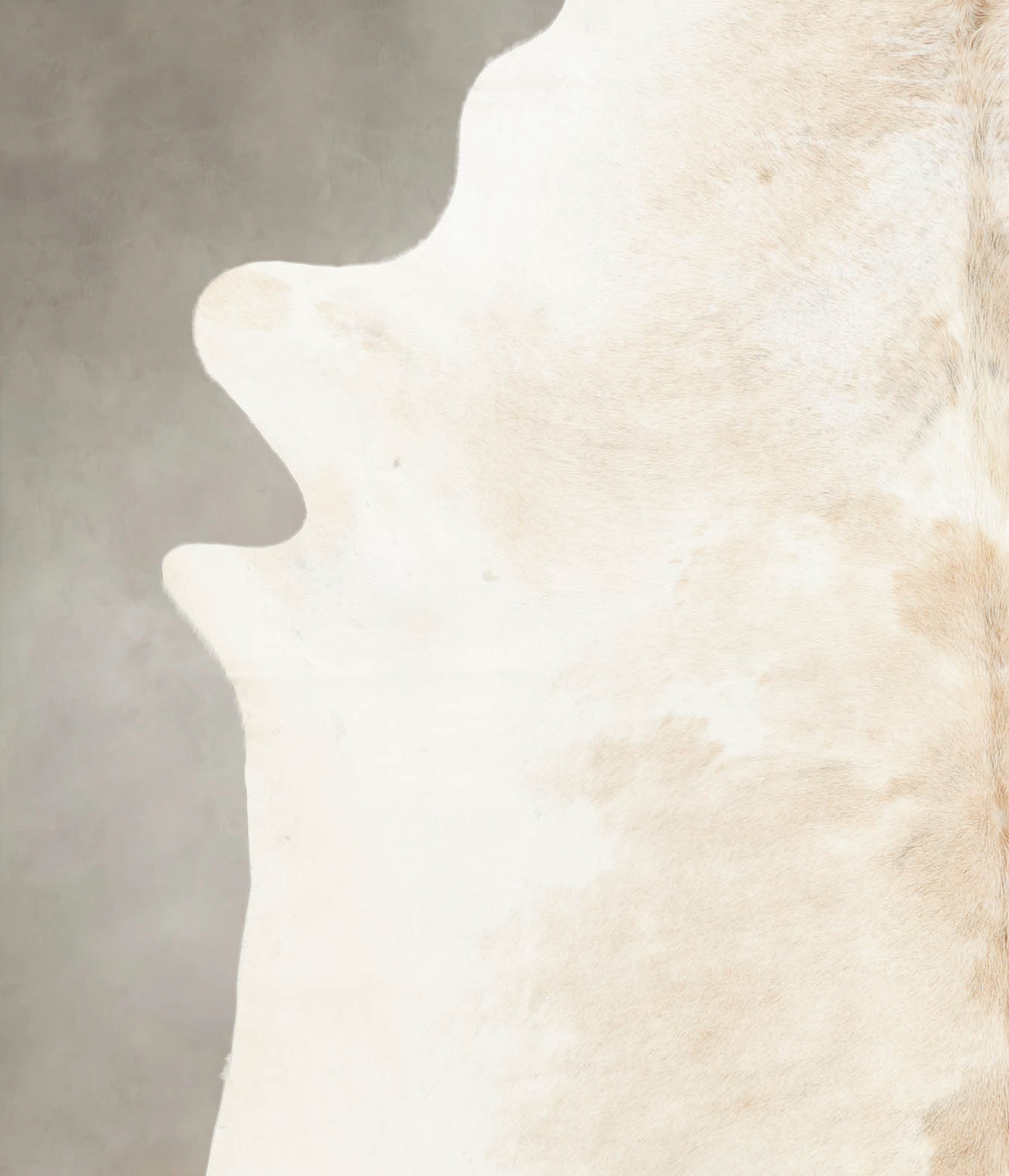 Ivory with Beige Cowhide Rug #B4338