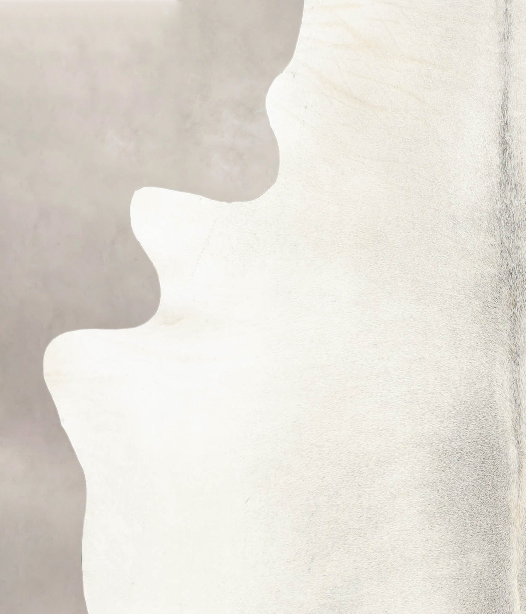 Light Grey Cowhide Rug #B4375
