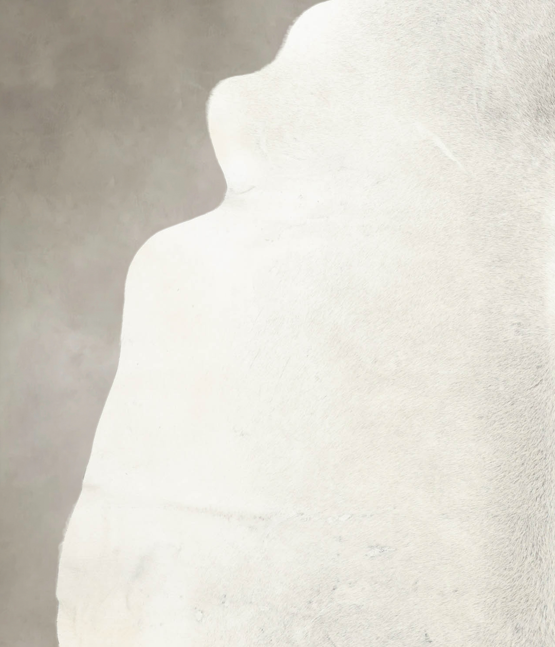 Light Grey X-Large Brazilian Cowhide Rug 6'4"H x 6'6"W #B4419 by Hudso