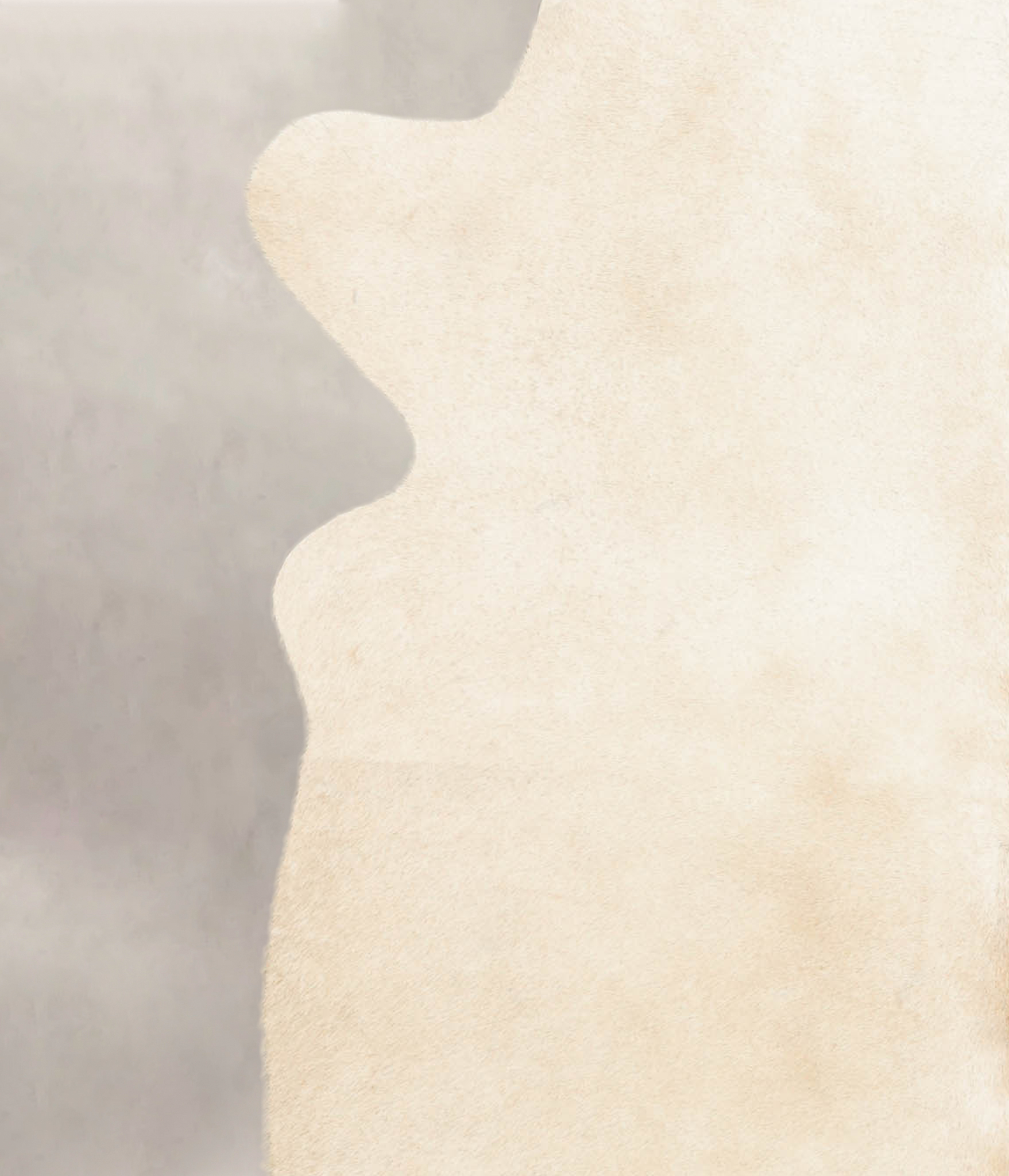 Palomino Cowhide Rug #B4442