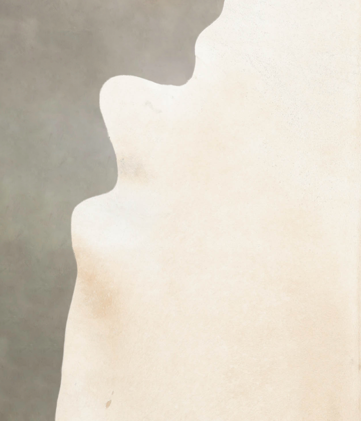 Palomino X-Large Brazilian Cowhide Rug 7'5"H x 6'6"W #B4529 by Hudson Hides