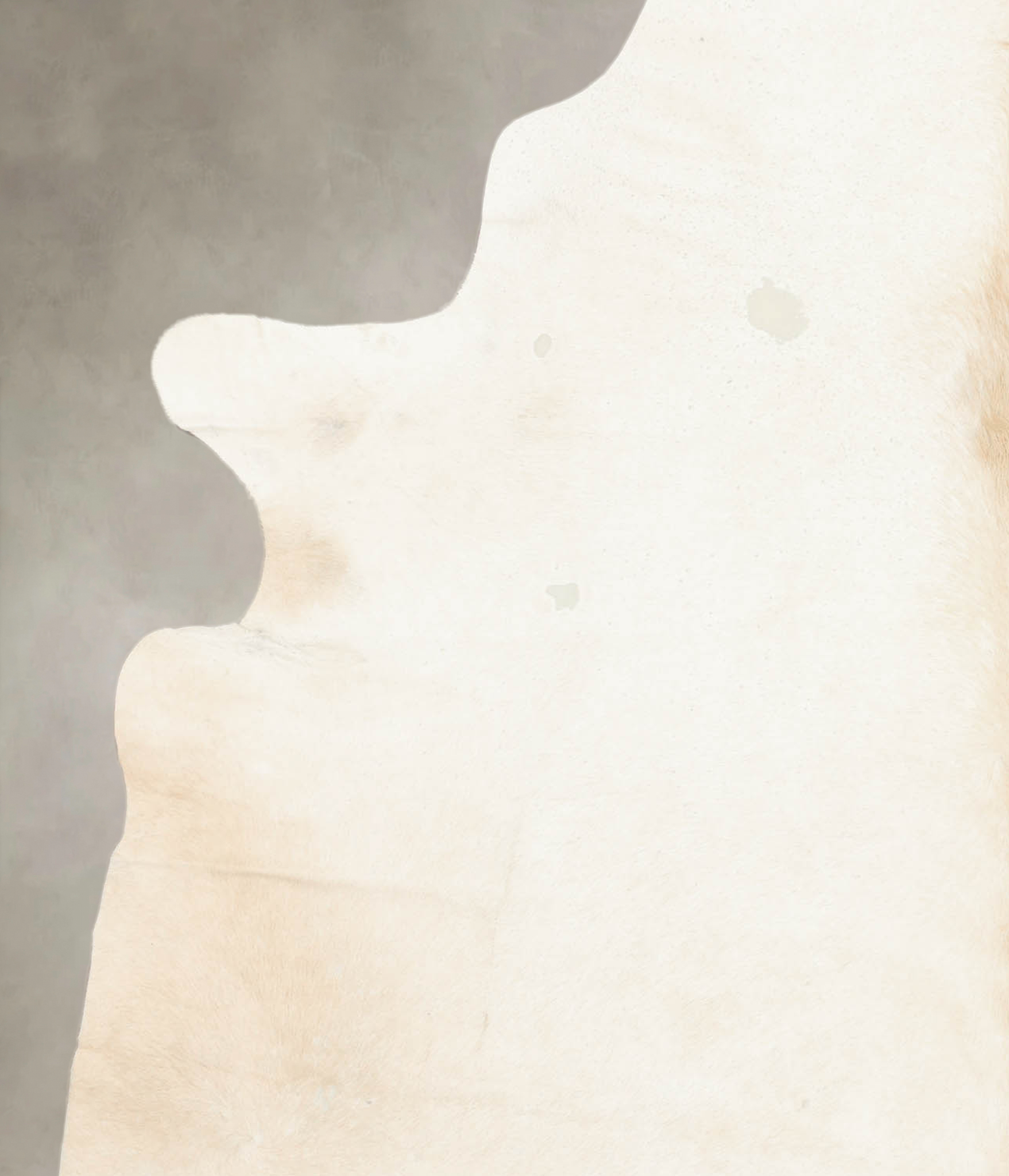 Ivory with Beige Cowhide Rug #B4545
