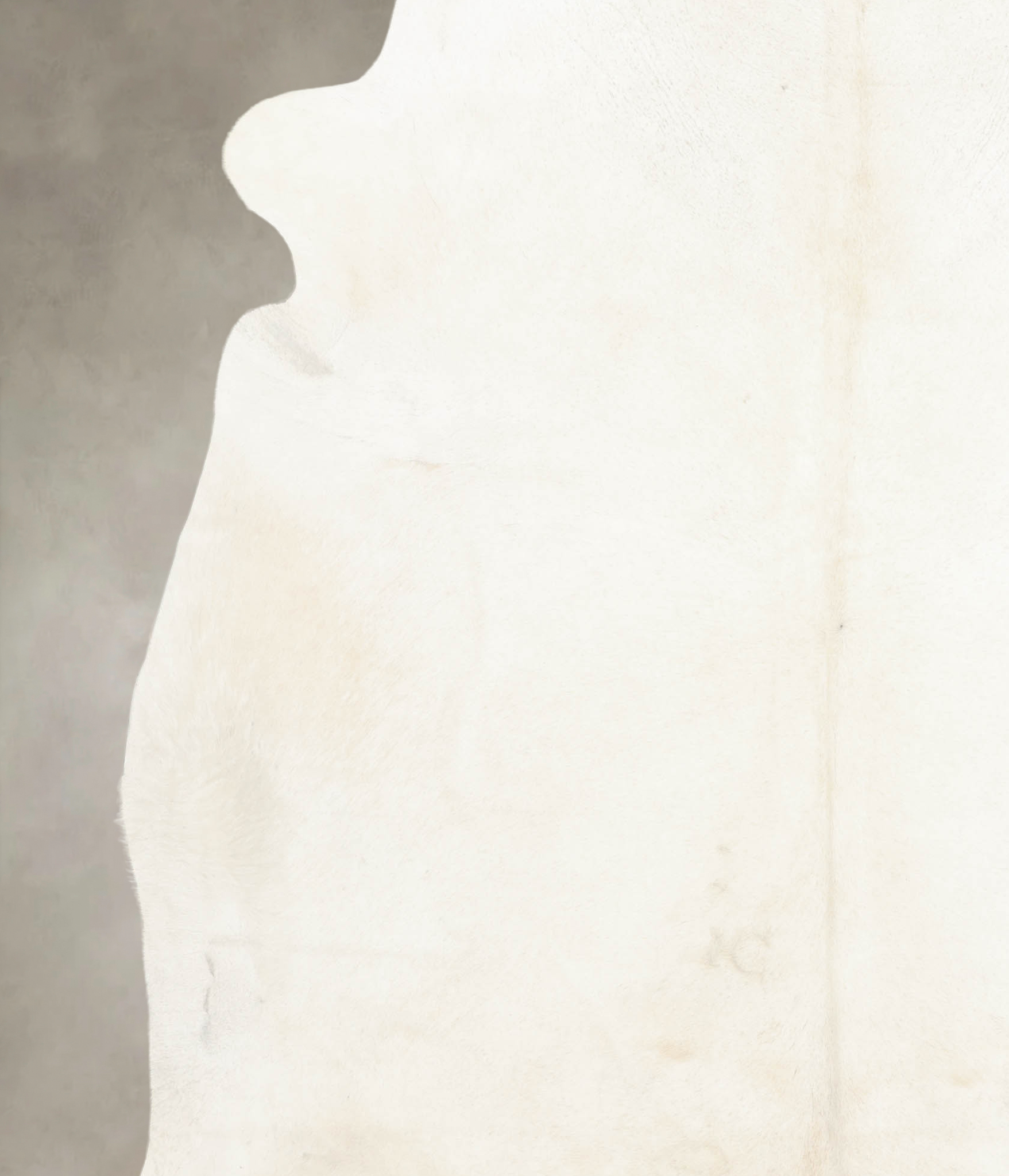 Ivory with Beige Cowhide Rug #B4565