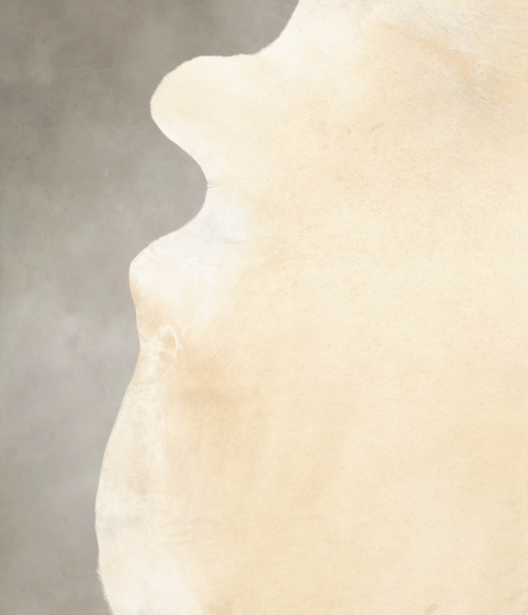 Palomino XX-Large Brazilian Cowhide Rug 7'8"H x 7'4"W #B4569 by Hudson