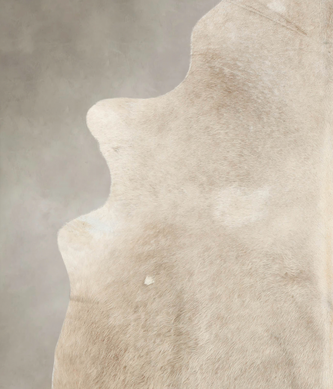 Champagne XX-Large Brazilian Cowhide Rug 8'0"H x 6'8"W #B4574 by Hudso