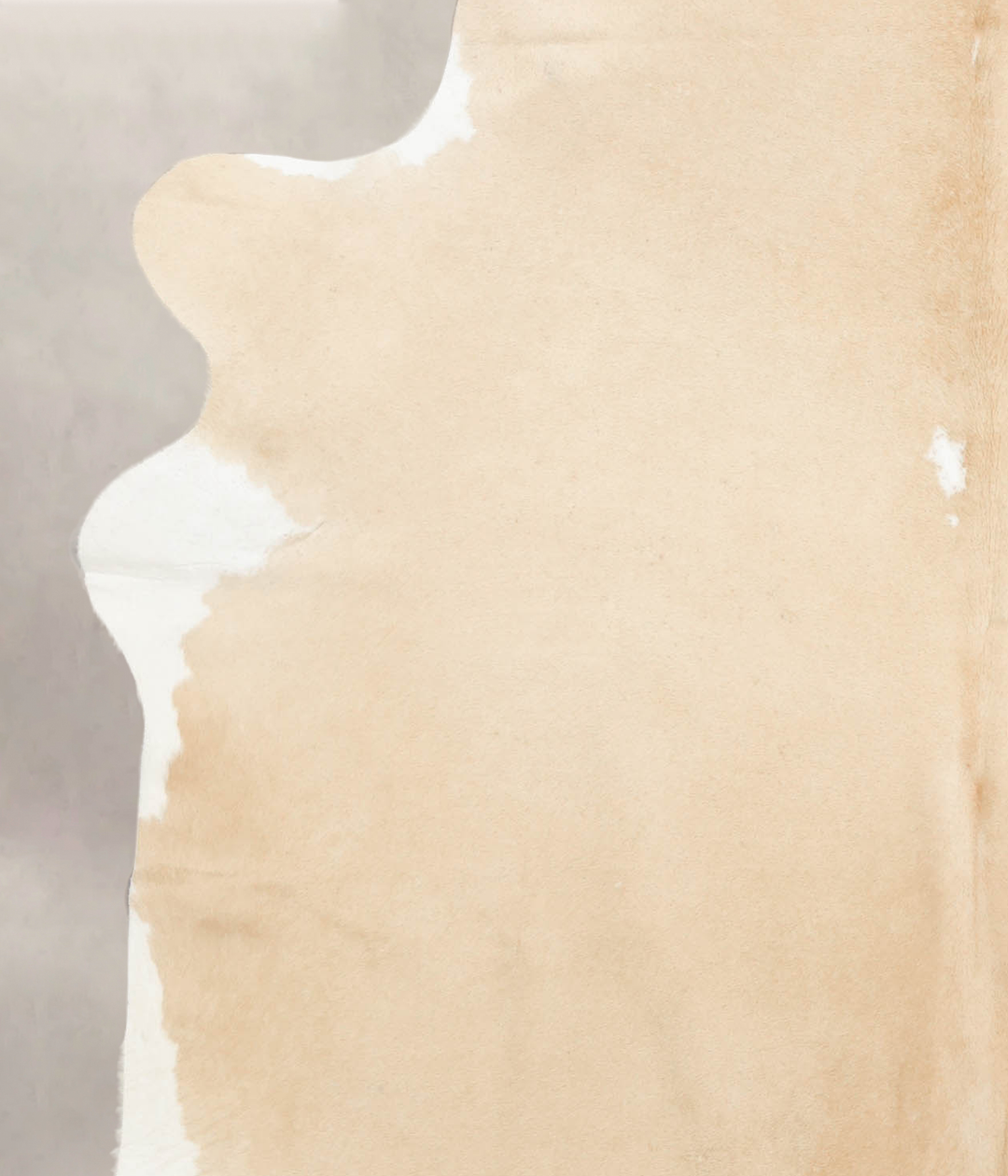 Palomino X-Large Brazilian Cowhide Rug 7'2"H x 6'6"W #B4593 by Hudson 