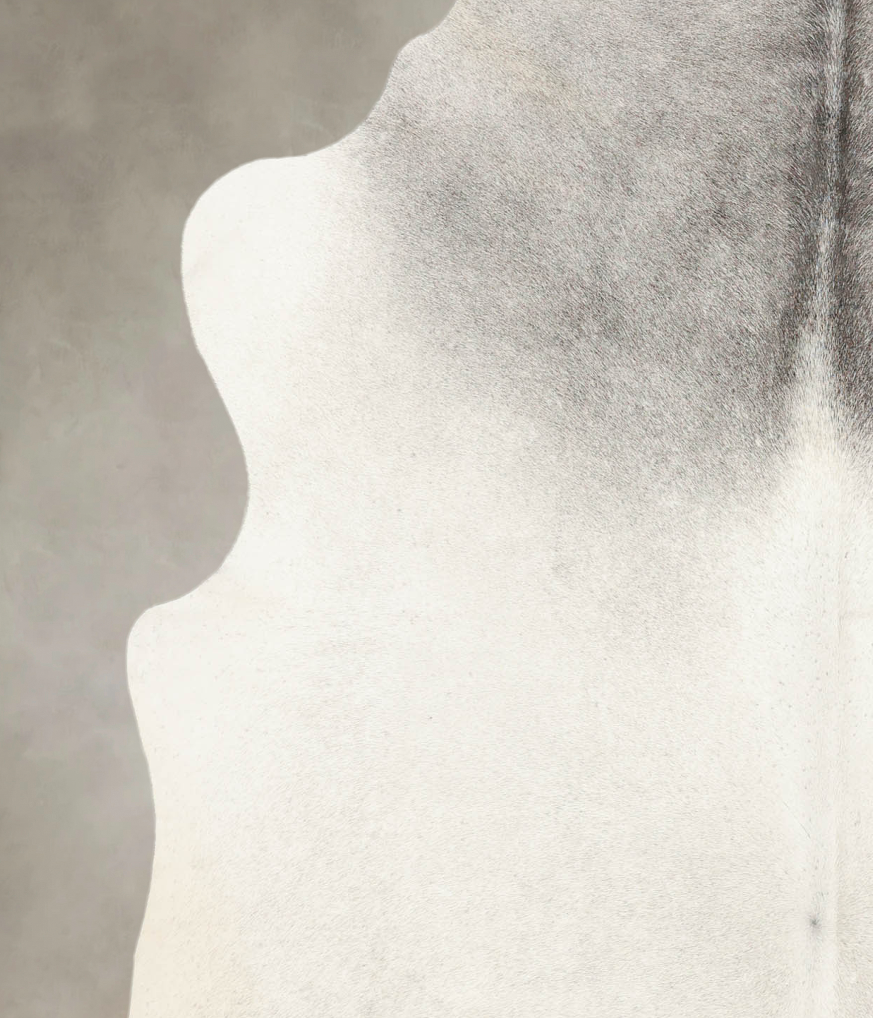 Medium Grey Cowhide Rug #B4598