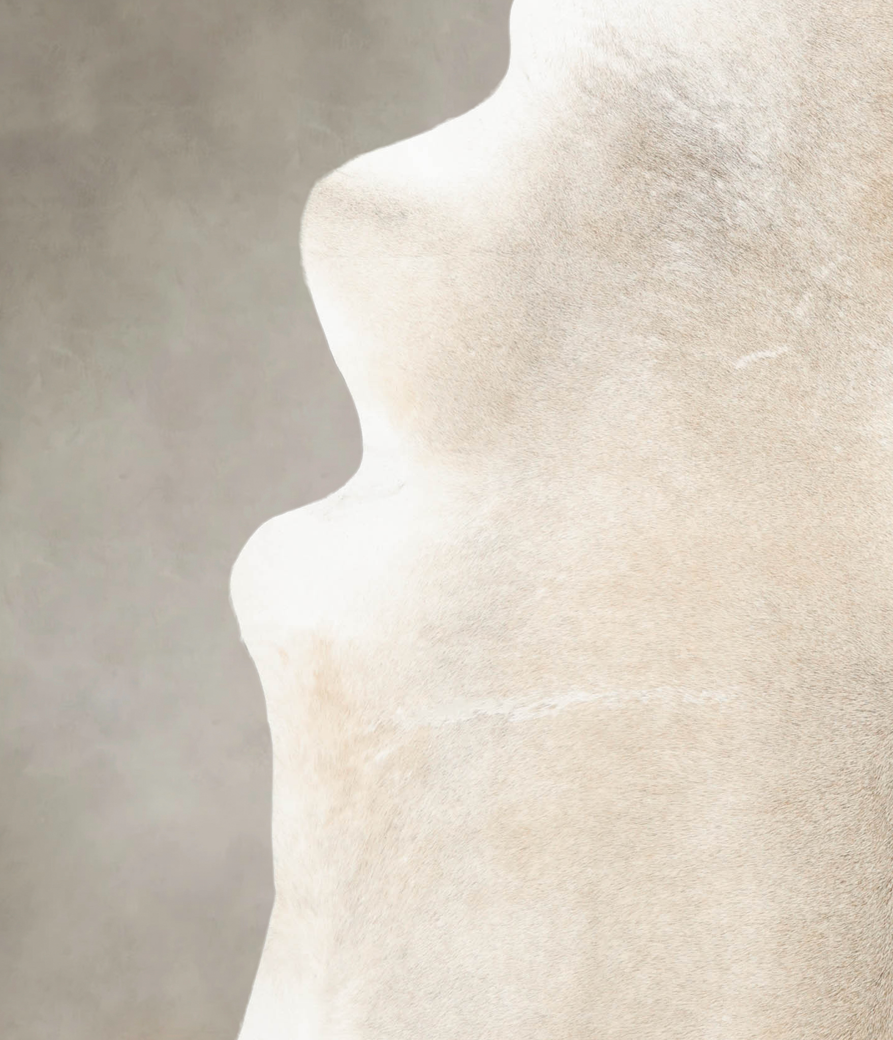 Grey with Beige Cowhide Rug #B4604