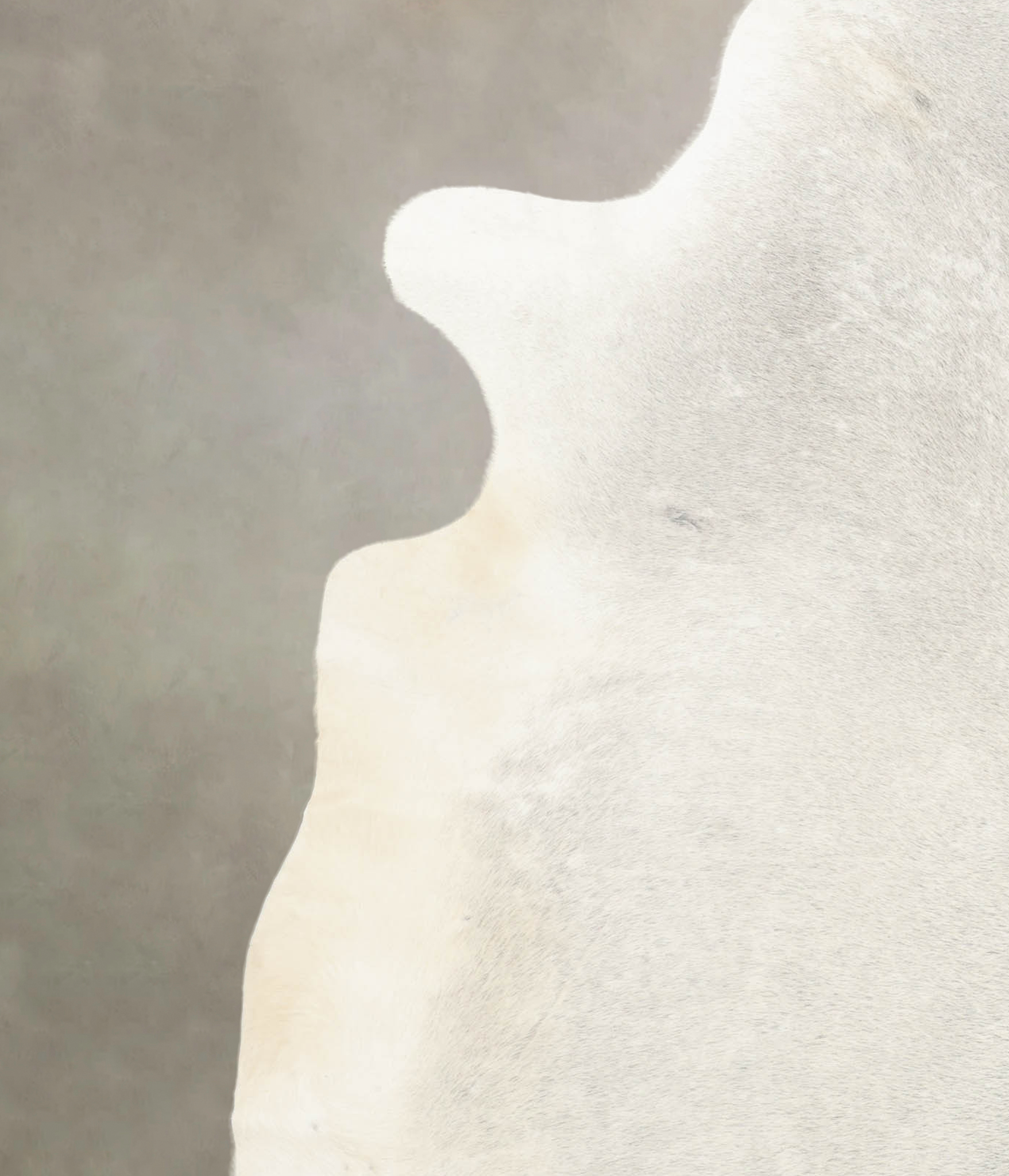 Light Grey Cowhide Rug #B4641