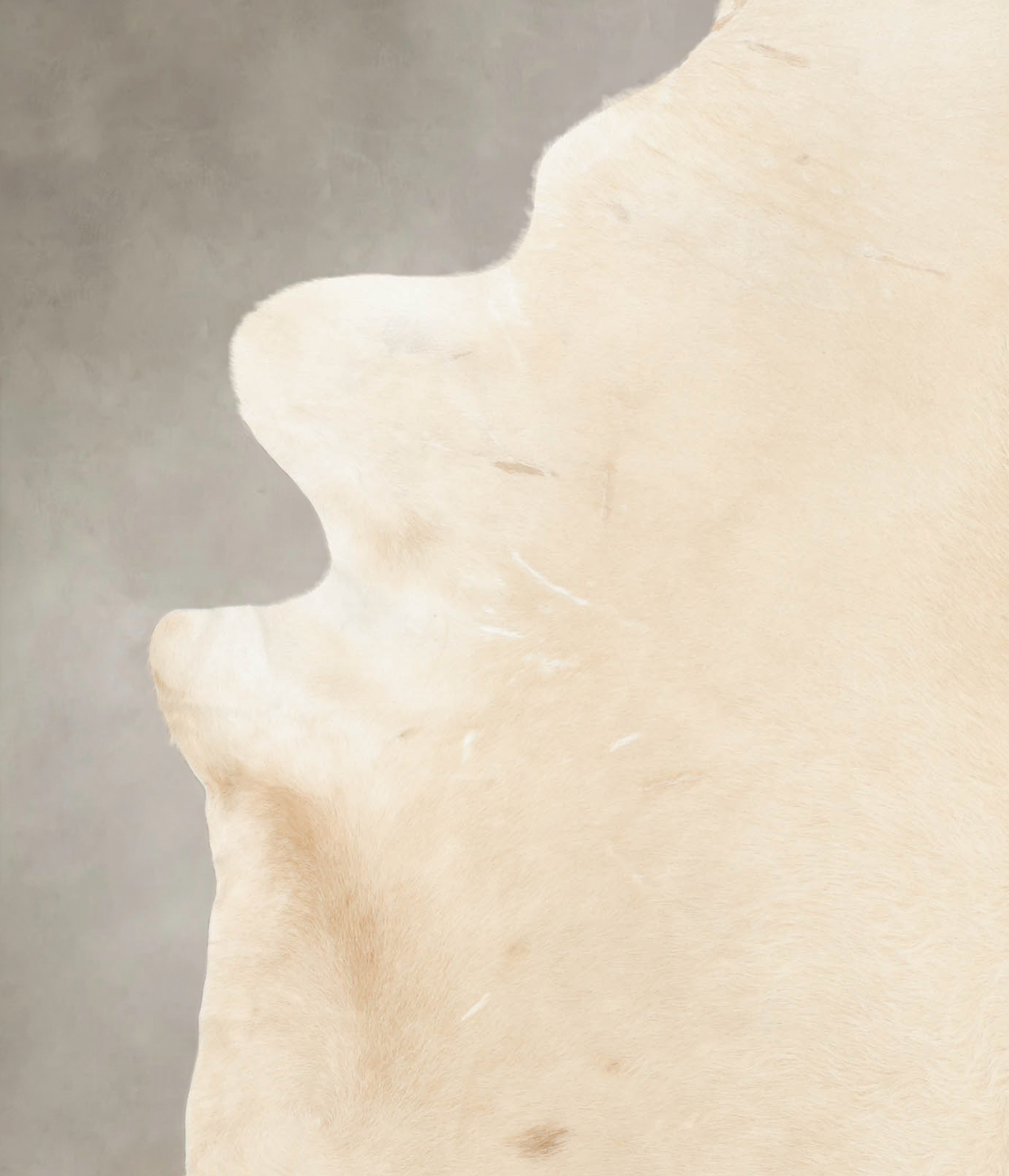 Palomino Cowhide Rug #B4659