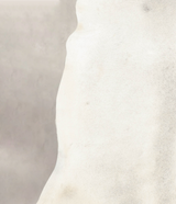 Light Grey XX-Large Brazilian Cowhide Rug 7'1"H x 7'4"W #B4665 by Hudson Hides