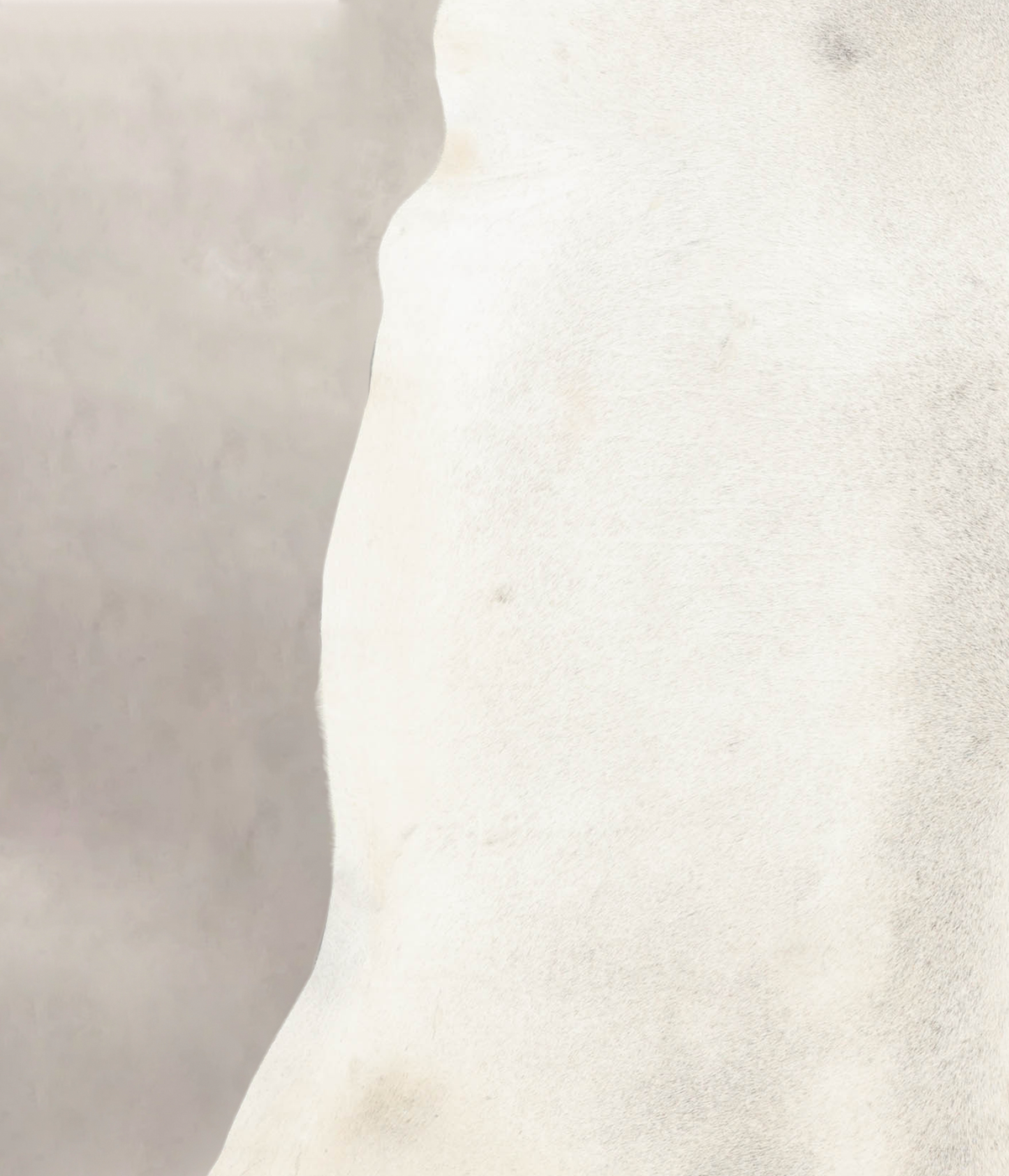 Light Grey Cowhide Rug #B4665