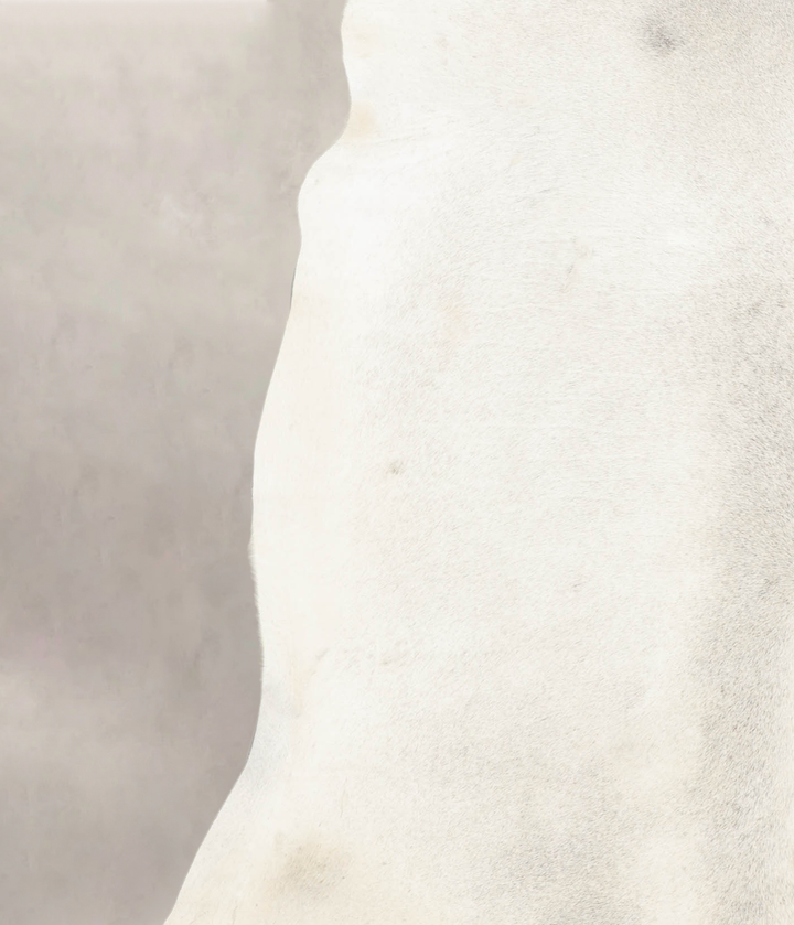 Light Grey XX-Large Brazilian Cowhide Rug 7'1"H x 7'4"W #B4665 by Hudson Hides