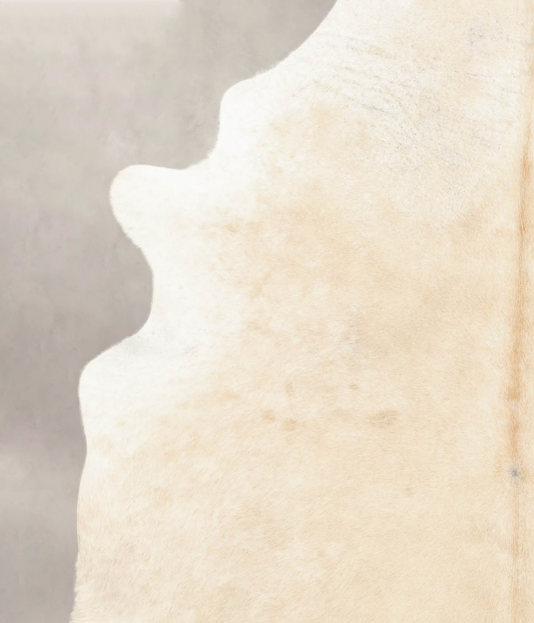 Palomino X-Large Brazilian Cowhide Rug 7'2"H x 6'3"W #B4692 by Hudson 