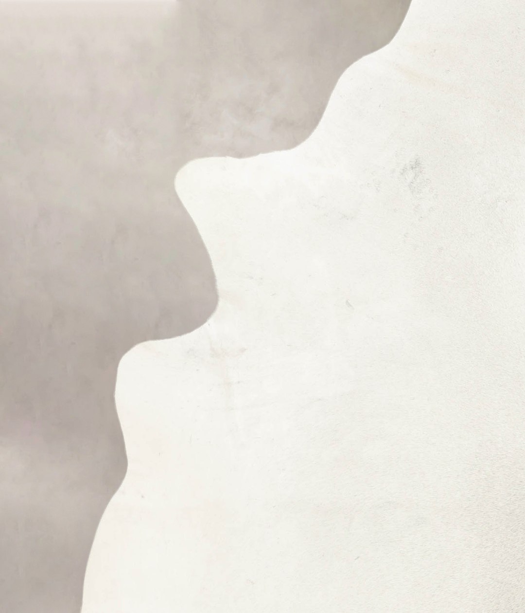 Light Grey XX-Large Brazilian Cowhide Rug 8'2"H x 6'9"W #B4708 by Huds