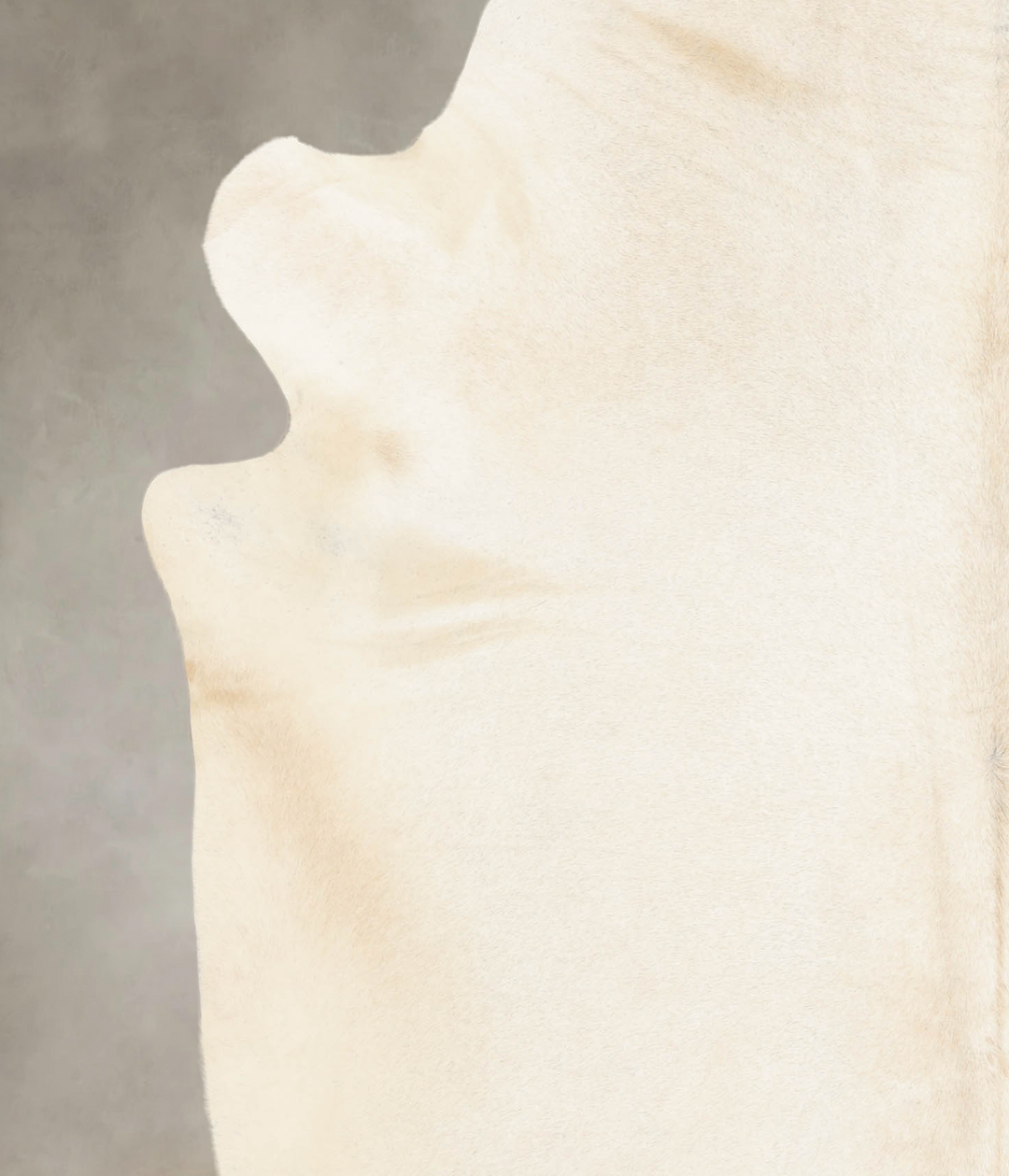Ivory with Beige XX-Large Brazilian Cowhide Rug 8'5"H x 7'6"W #B4858 b