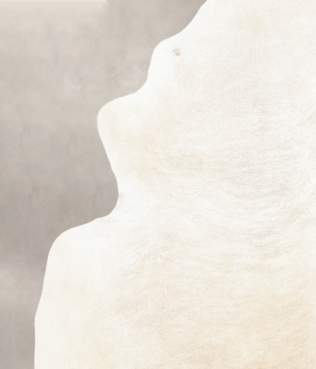 Ivory with Beige X-Large Brazilian Cowhide Rug 7'10"H x 6'2"W #B4871 b