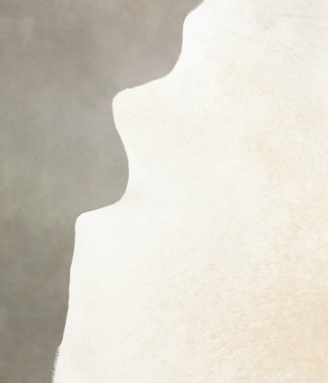 Ivory with Beige X-Large Brazilian Cowhide Rug 7'3"H x 6'3"W #B4873 by