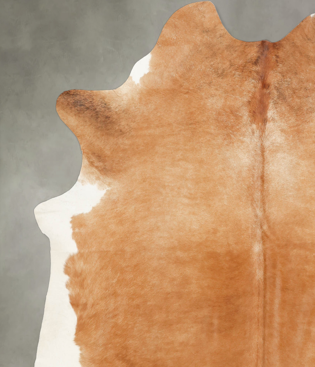 Solid Brown X-Large Brazilian Cowhide Rug 7'1"H x 6'5"W #B4880 by Huds