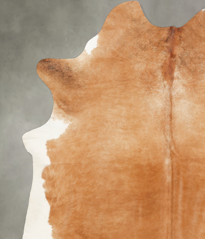 Solid Brown X-Large Brazilian Cowhide Rug 7'1"H x 6'5"W #B4880 by Hudson Hides