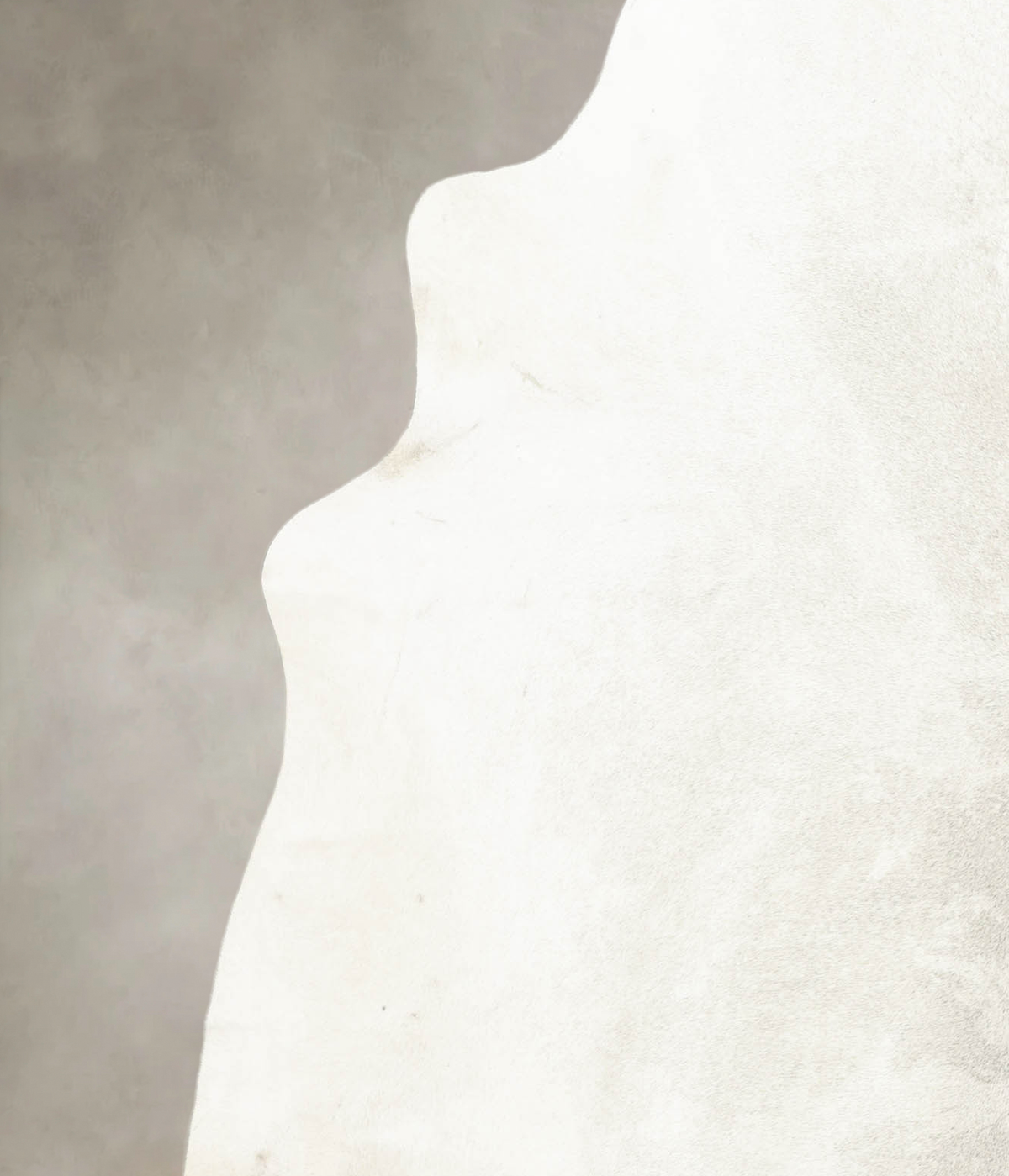 Light Grey XX-Large Brazilian Cowhide Rug 7'4"H x 6'10"W #B4905 by Hudson Hides