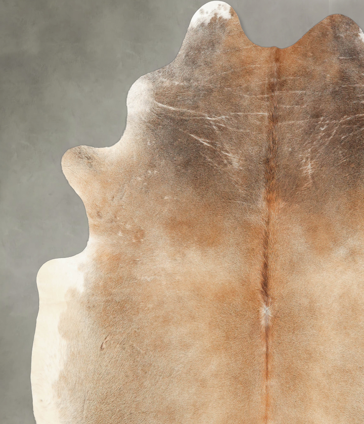 Grey with Beige XX-Large Brazilian Cowhide Rug 8'0"H x 7'1"W #B4953 by Hudson Hides