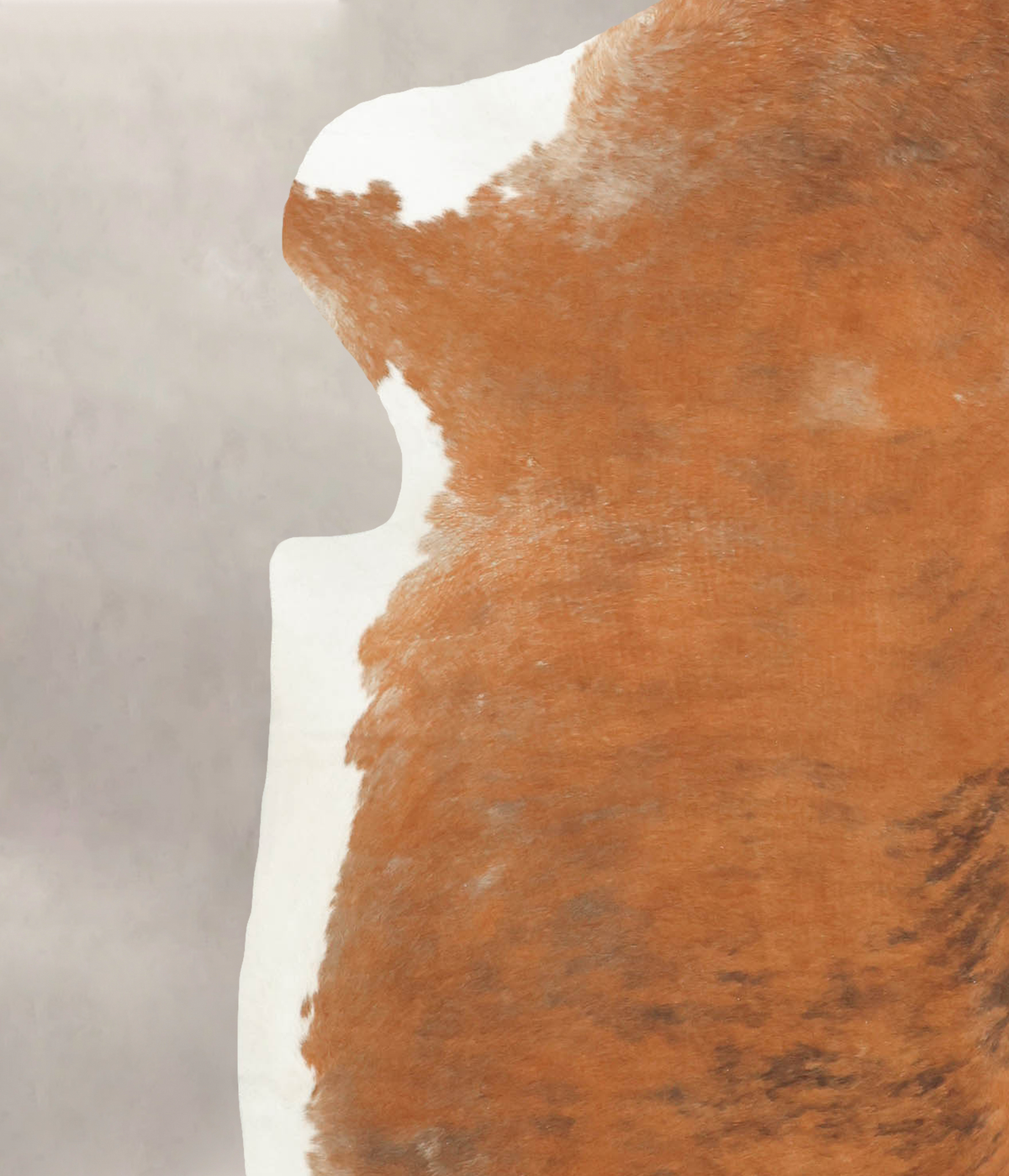 Brown and White X-Large European Cowhide Rug 7'5"H x 6'7"W #B5275 by Hudson Hides
