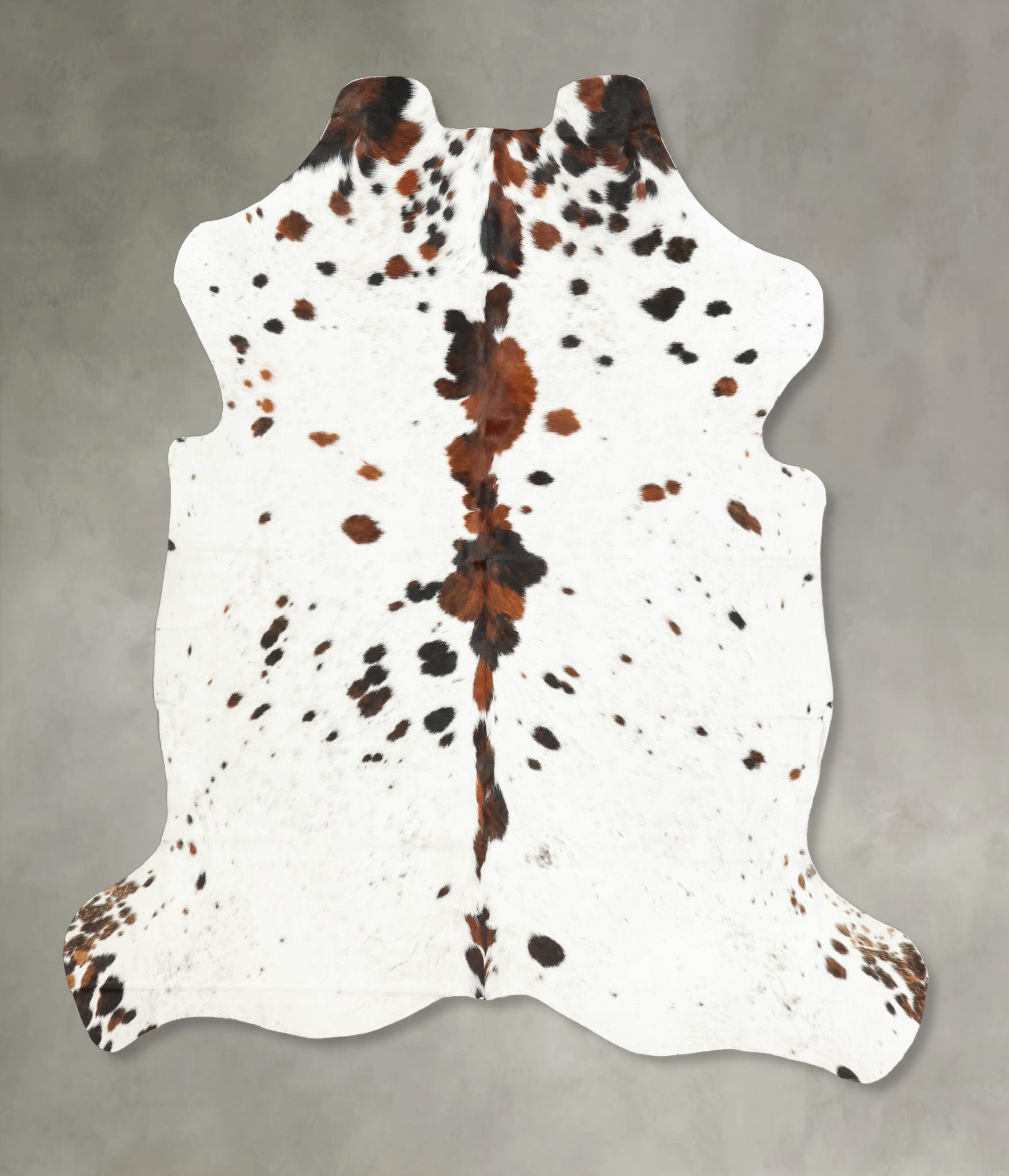 Tricolor Cowhide Rug #B5381