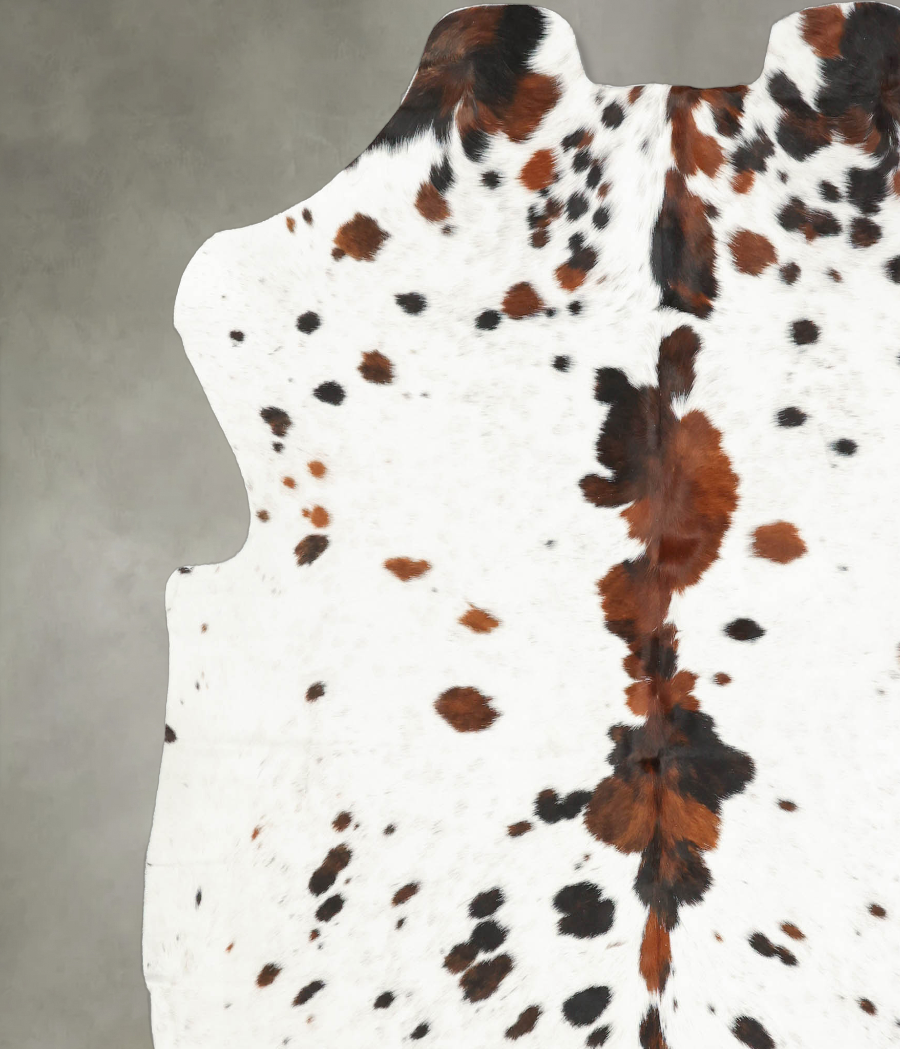 Tricolor Cowhide Rug #B5381