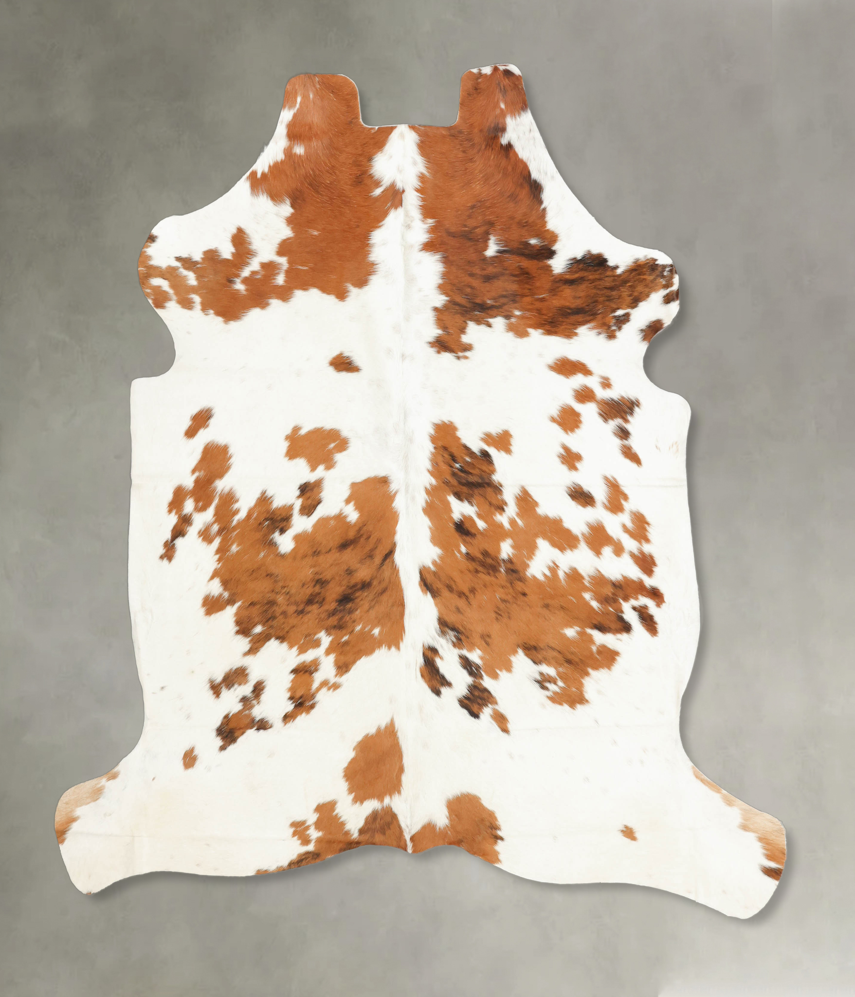 Tricolor Cowhide Rug #B5407