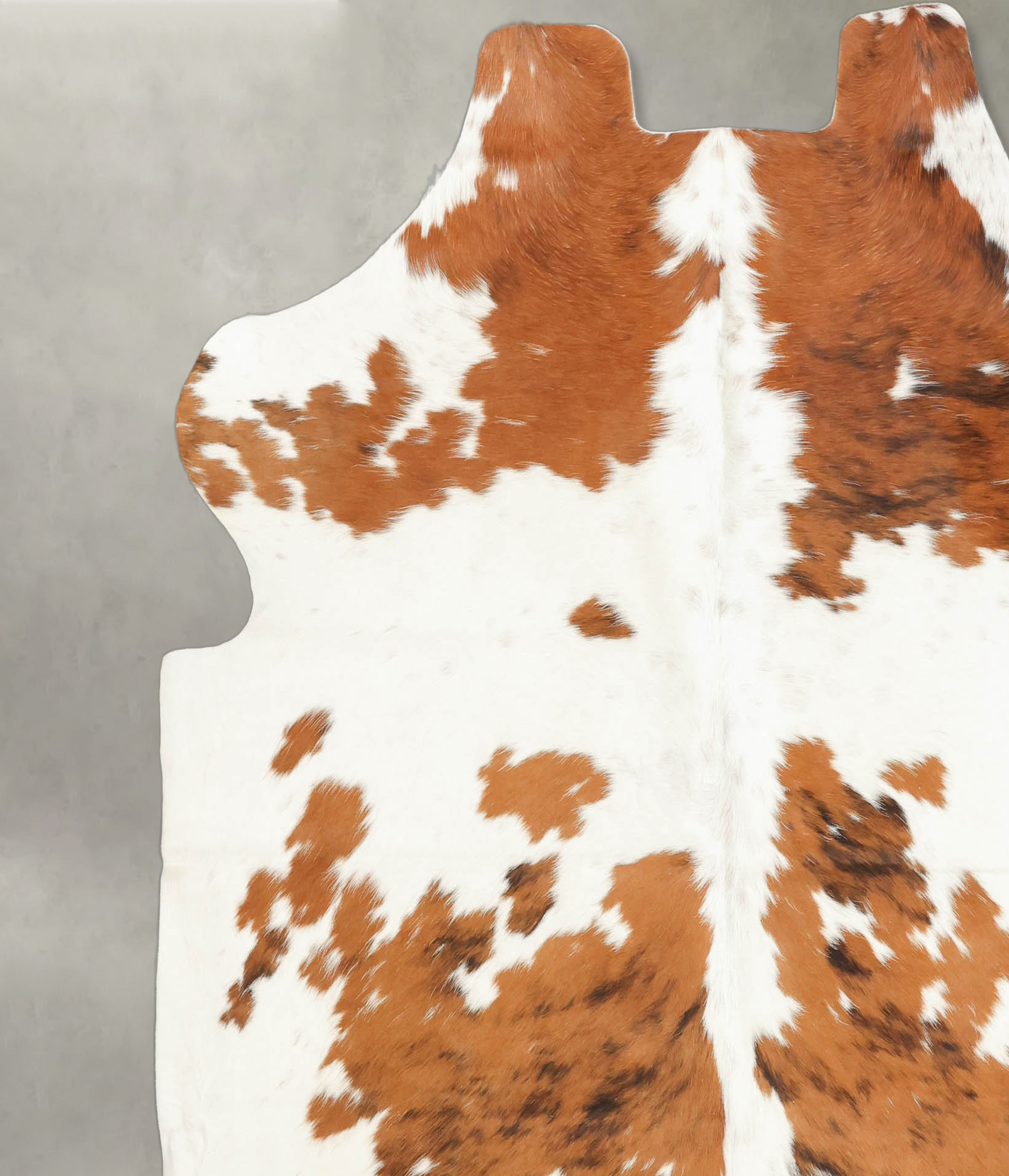 Tricolor Cowhide Rug #B5407