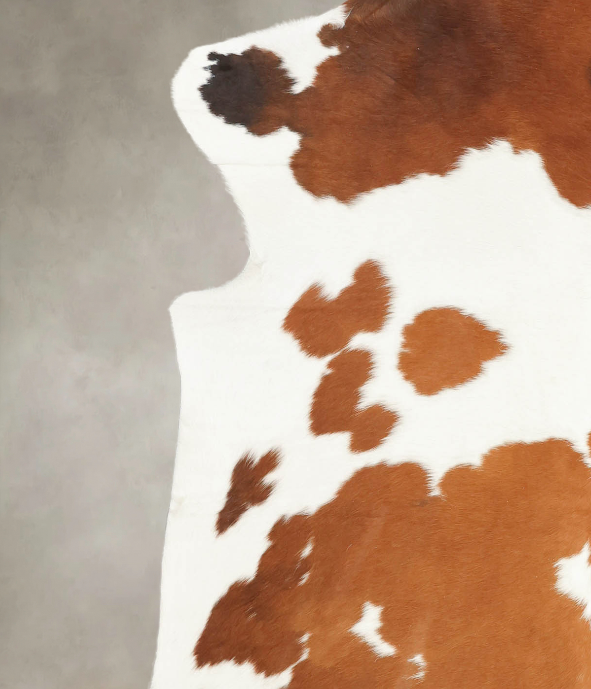 Brown and White X-Large European Cowhide Rug 7'8"H x 6'3"W #B5483 by Hudson Hides