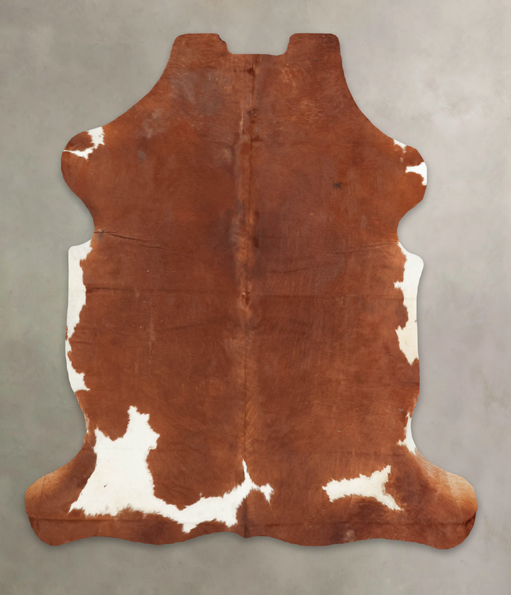 Brown and White X-Large European Cowhide Rug 6'11"H x 5'11"W #B5515 by Hudson Hides