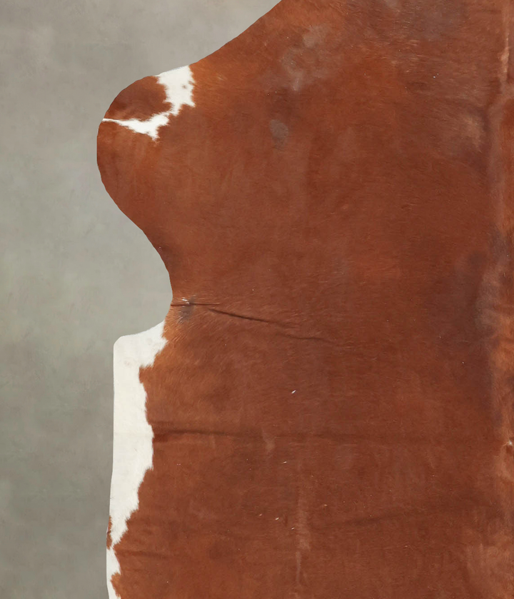 Brown and White X-Large European Cowhide Rug 6'11"H x 5'11"W #B5515 by Hudson Hides