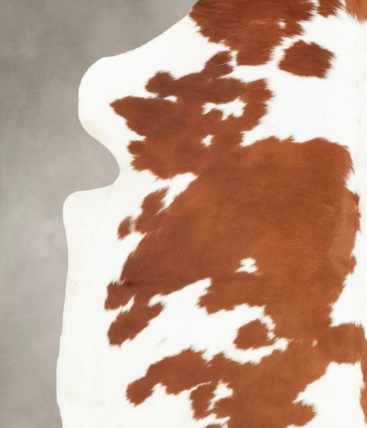 Brown and White Large European Cowhide Rug 6'6"H x 5'9"W #B5558 by Hudson Hides