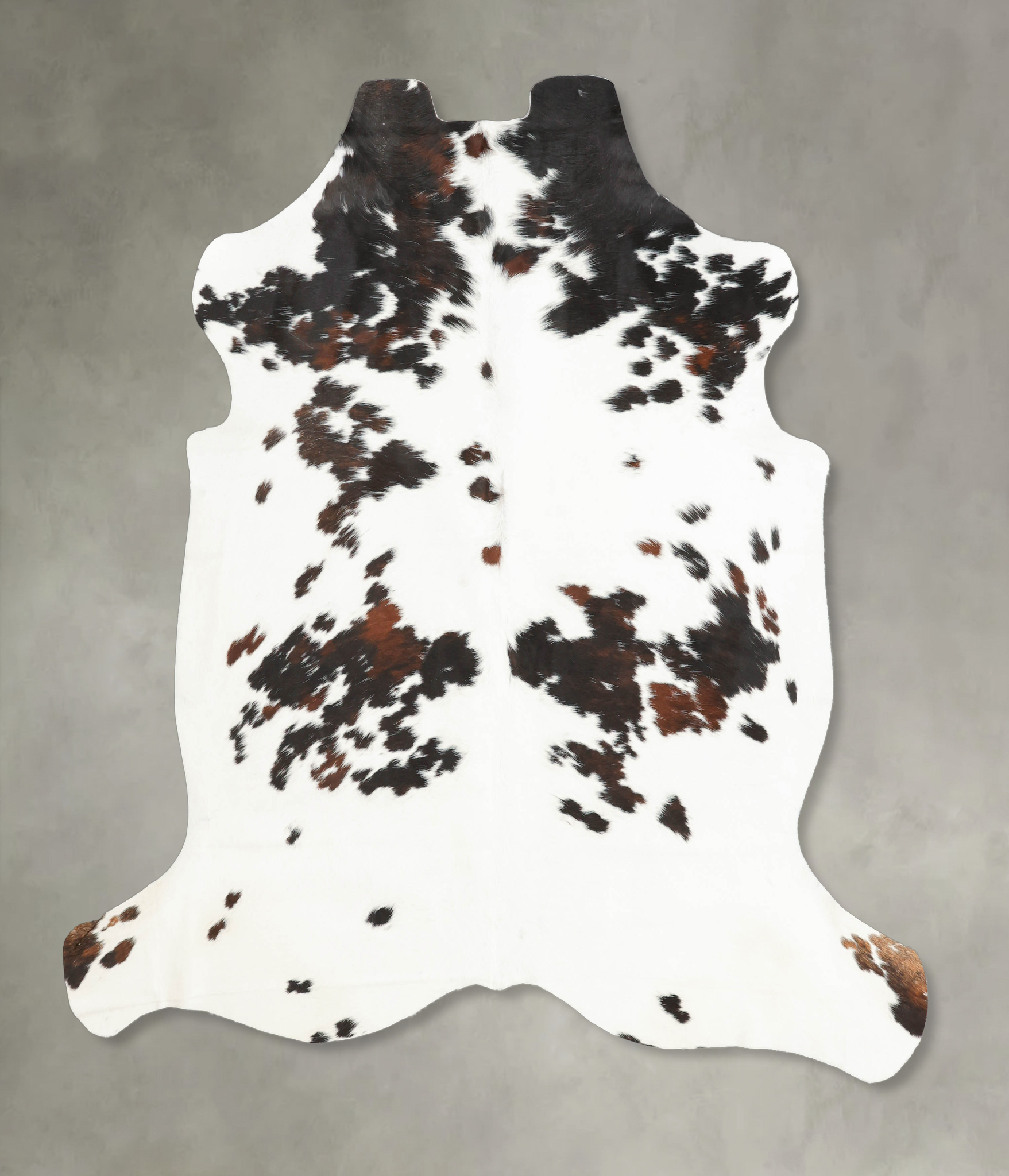 Tricolor Cowhide Rug #B5576