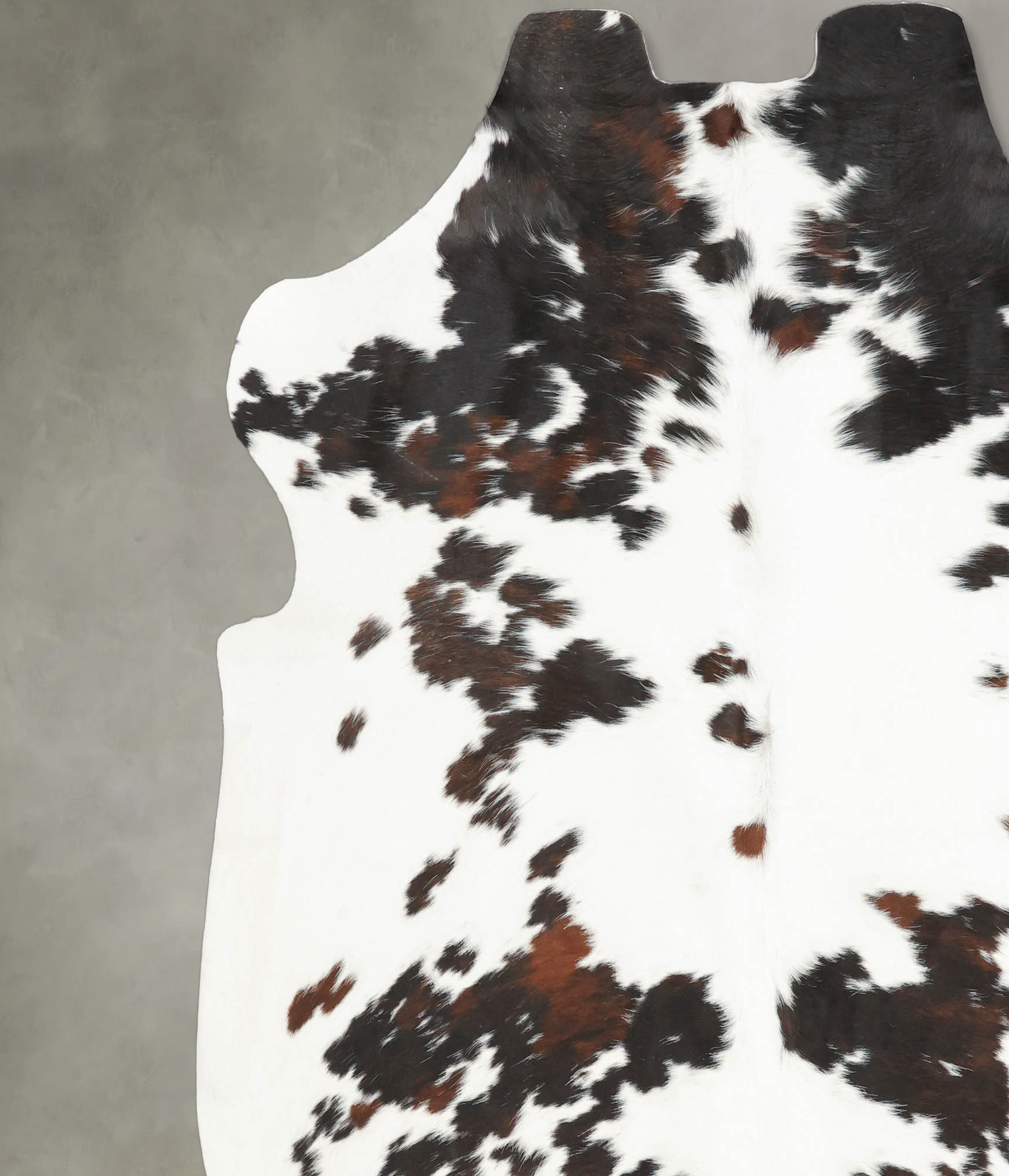 Tricolor Cowhide Rug #B5576