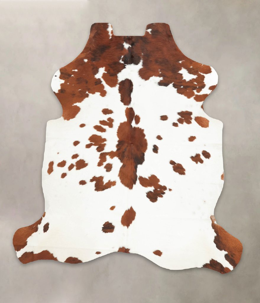 Brown and White Large European Cowhide Rug 6'4"H x 5'7"W #B5580 by Hudson Hides