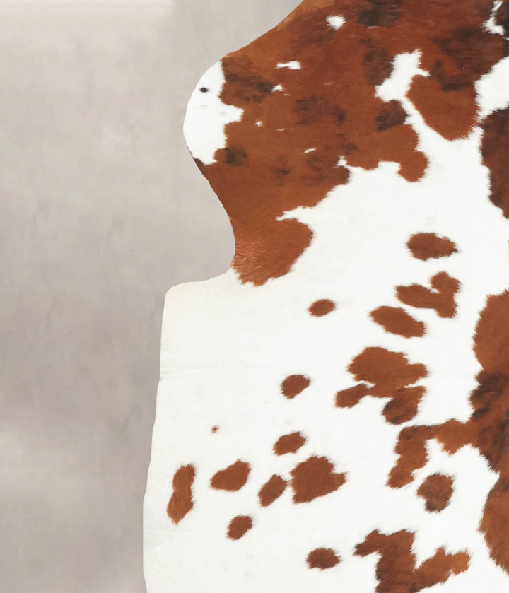 Brown and White Large European Cowhide Rug 6'4"H x 5'7"W #B5580 by Hudson Hides