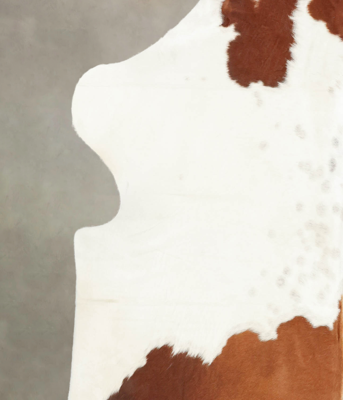 Brown and White XX-Large European Cowhide Rug 8'6"H x 6'7"W #B5586 by Hudson Hides