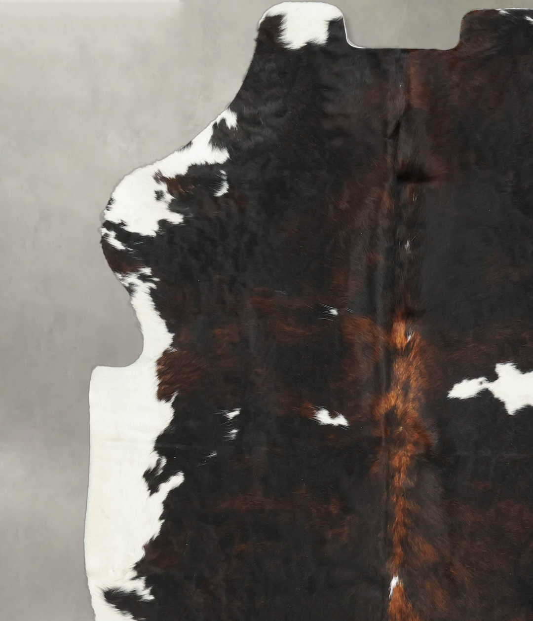 Tricolor Large European Cowhide Rug 6'8"H x 5'10"W #B5626 by Hudson Hi