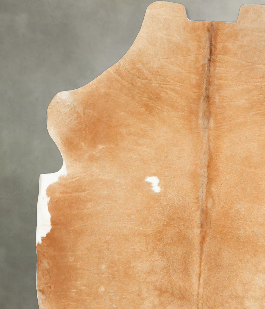 Beige Large European Cowhide Rug 6'6"H x 5'8"W #B5745 by Hudson Hides