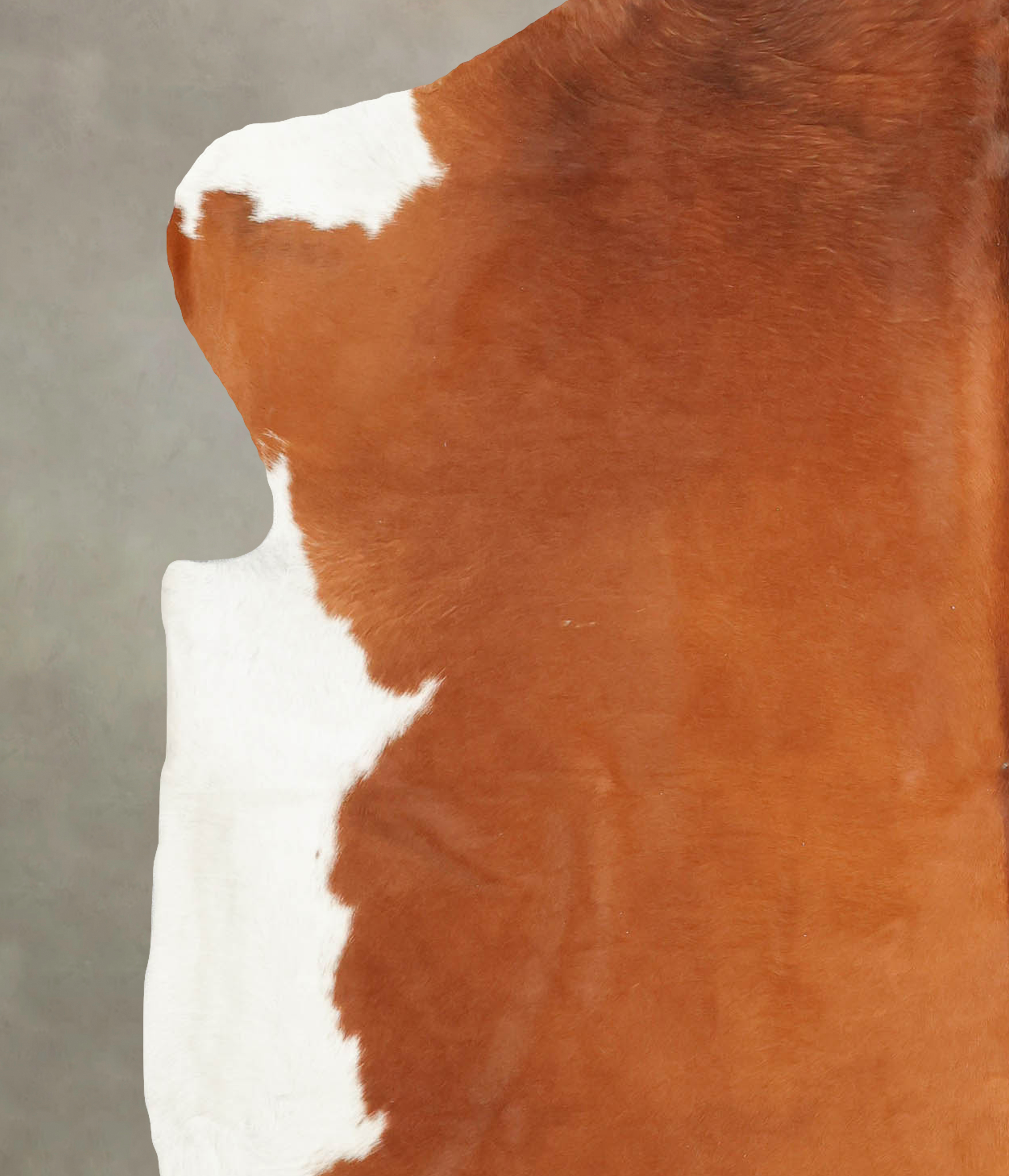 Brown and White Cowhide Rug #B5749