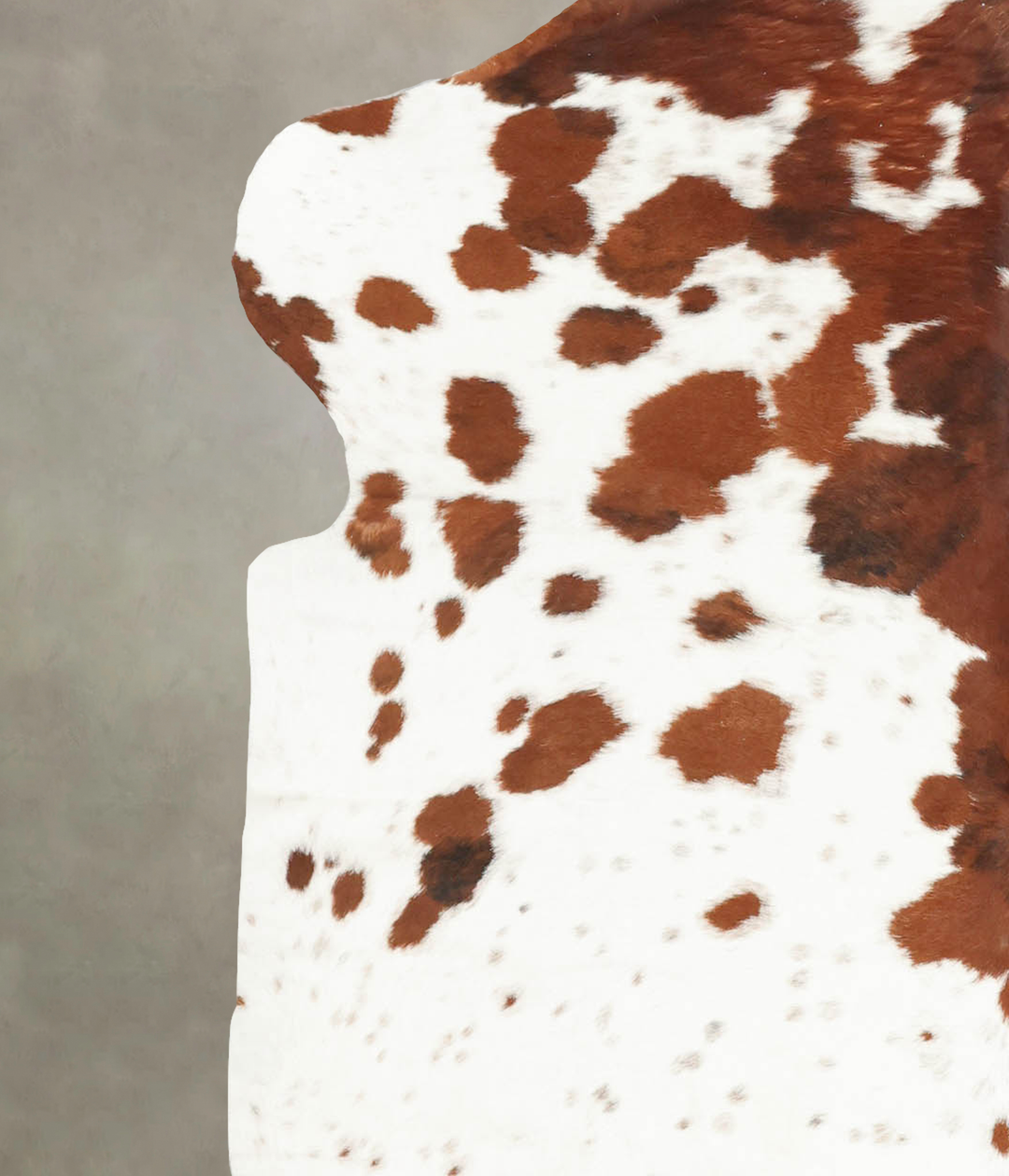 Brown and White Large European Cowhide Rug 6'3"H x 5'6"W #B5817 by Hud