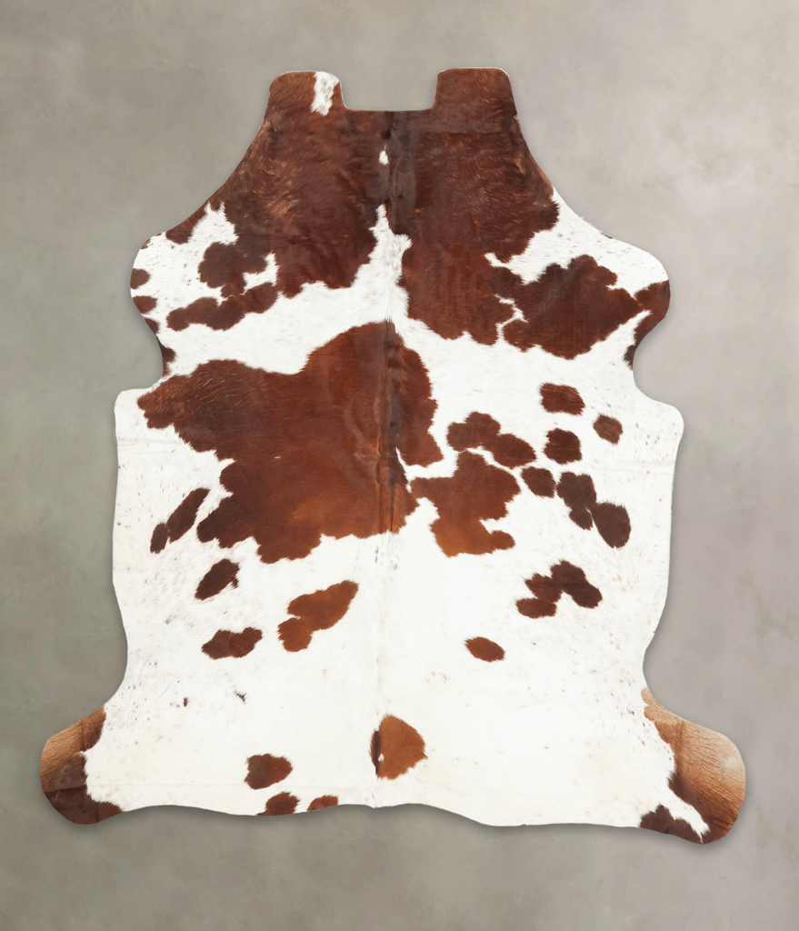 Brown and White X-Large European Cowhide Rug 6'8"H x 5'11"W #B5820 by Hudson Hides