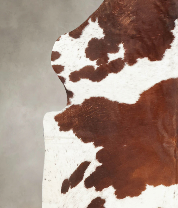 Brown and White X-Large European Cowhide Rug 6'8"H x 5'11"W #B5820 by Hudson Hides